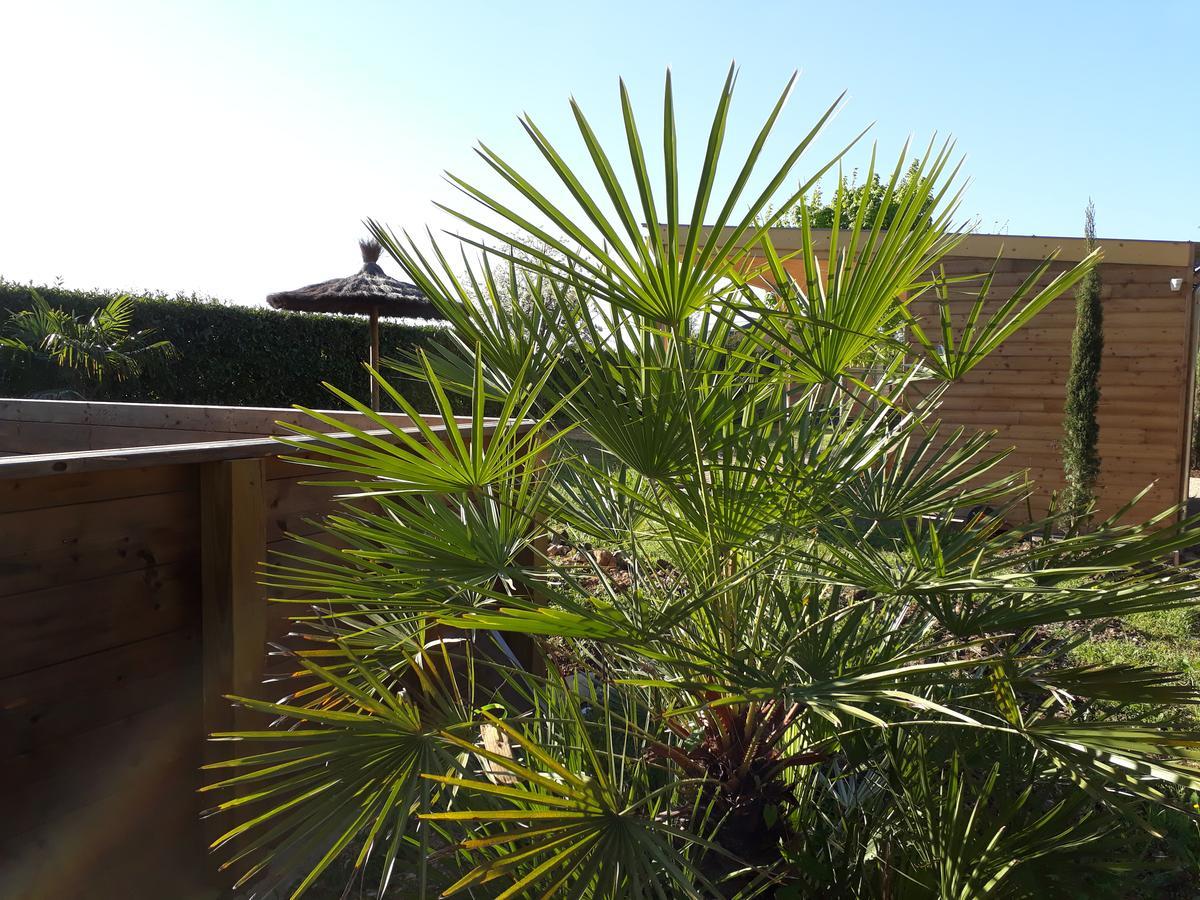 Les Pilotis Du Cognac Villa Bourg-Charente Buitenkant foto